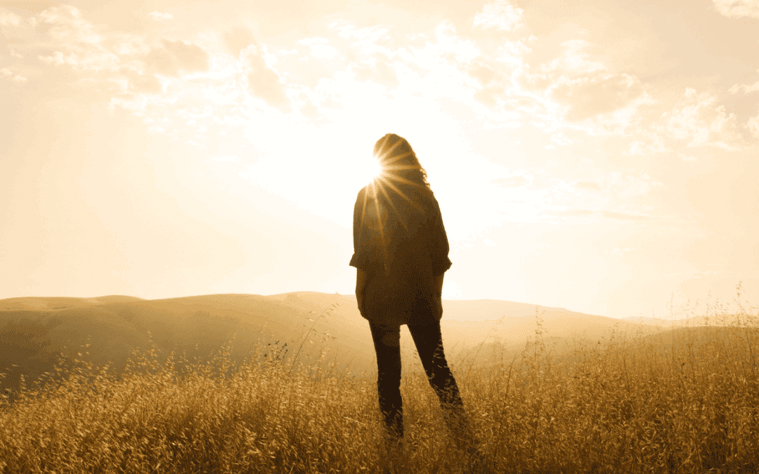 Navigating the Mediation Process Part 2: What to Expect in a Mediation